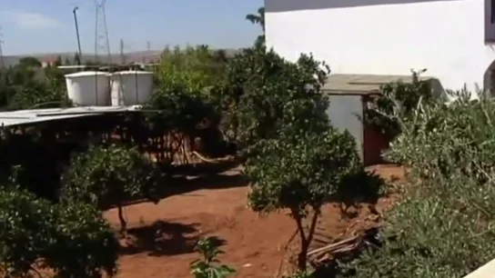 Captura finca Las Quemadillas Captura finca Las Quemadillas