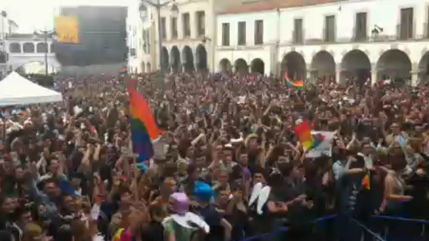 La canci&oacute;n oficial de la Caravana de Palomos