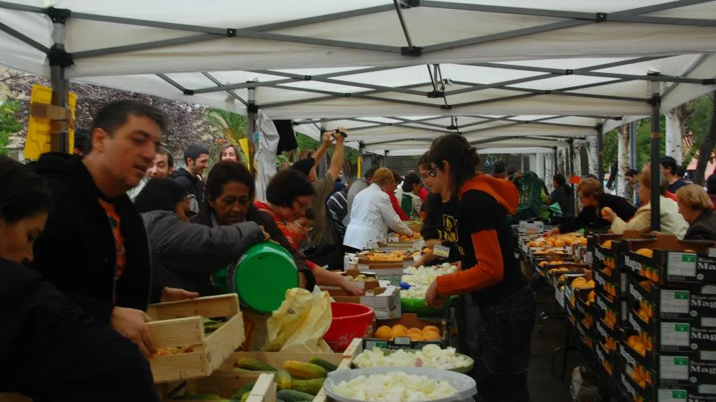 Comida con alimentos en buen estado recogidos de la basura Comida con alimentos en buen estado recogidos de la basura