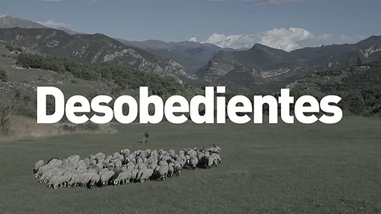 Desobedientes Desobedientes