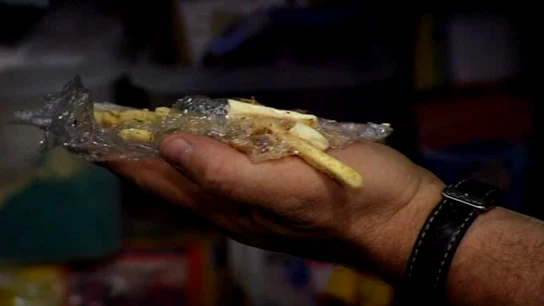 El gusto es nuestro El gusto es nuestro