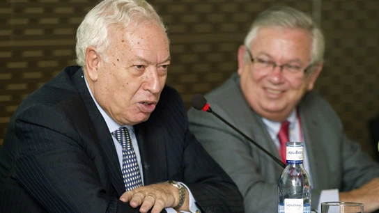 El ministro de Asuntos Exteriores, José Manuel García-Margallo. El ministro de Asuntos Exteriores, José Manuel García-Margallo.