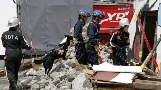 Miembros de un equipo de rescate de la Marina en un simulacro Miembros de un equipo de rescate de la Marina en un simulacro