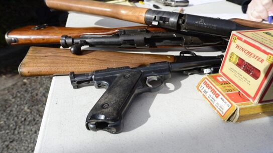 El senado eleva la edad m&iacute;nima para comprar un arma