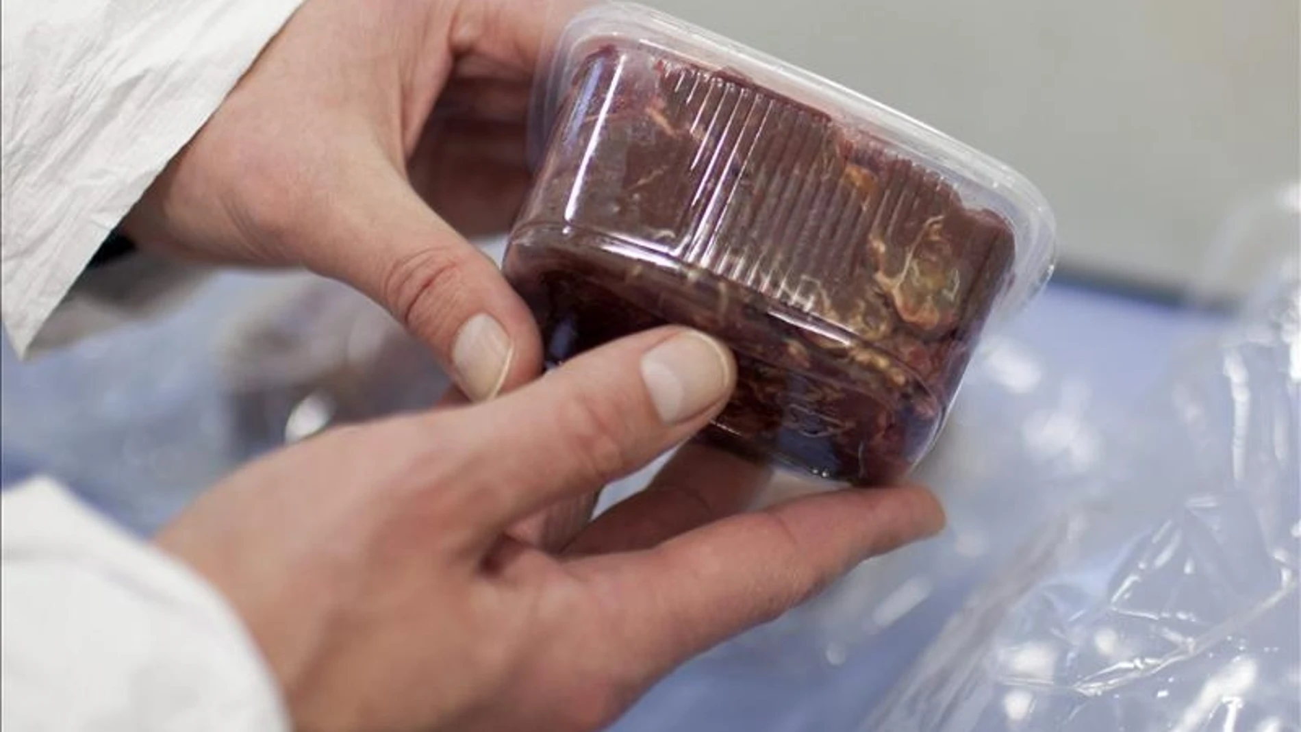Un empleado de laboratorio realiza comprobaciones para ver la proporción de carne de caballo en una muestra
