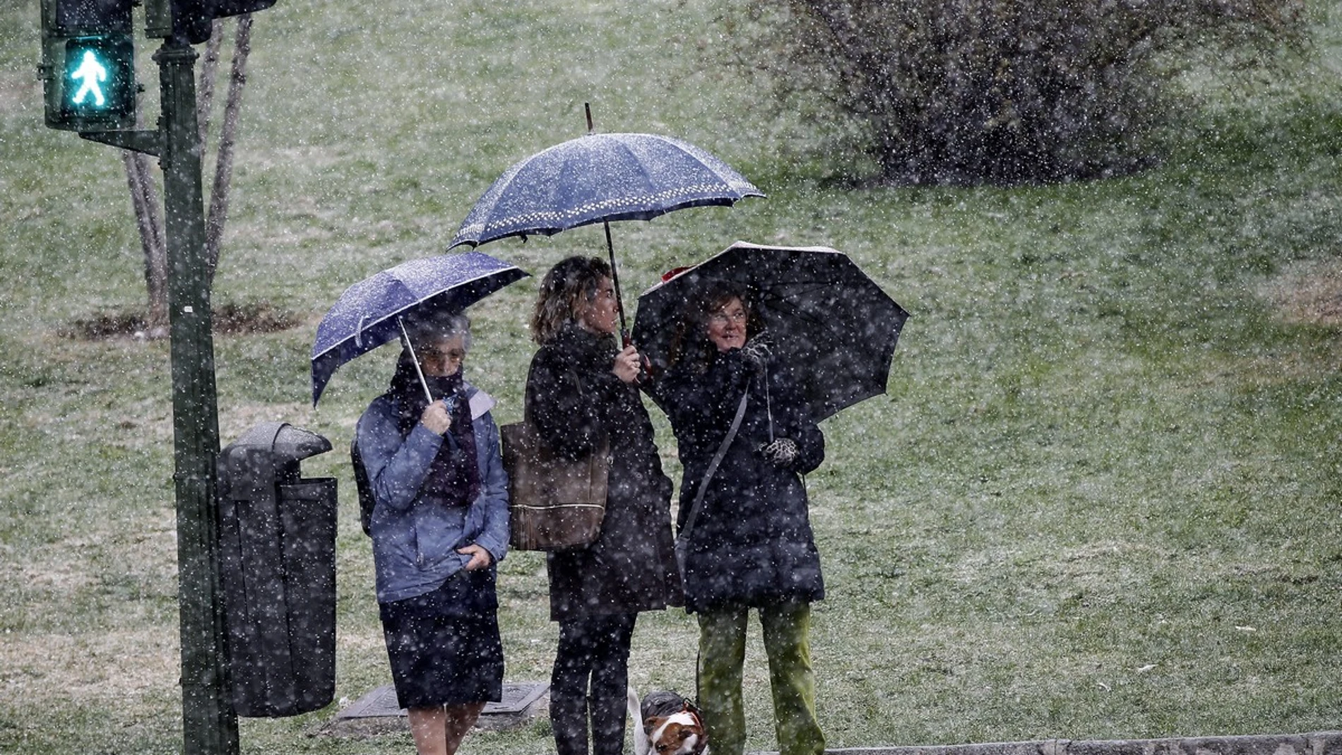 Tres viandantes se protegen con paraguas de la nieve que ha comenzado a caer en la capital.