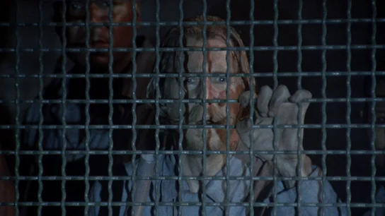 Nuevos supervivientes en la prisión Nuevos supervivientes en la prisión