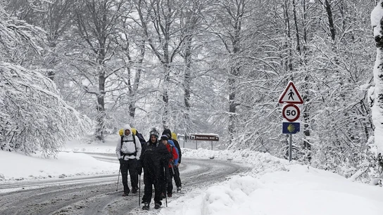 El alto de Mezquiriz, en Navarra, en pleno temporal de frío y nieve. El alto de Mezquiriz, en Navarra, en pleno temporal de frío y nieve.