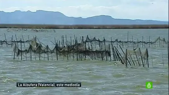 La Albufera de Valencia estuvo en el punto de mira de Iñaki Urdangarin La Albufera de Valencia estuvo en el punto de mira de Iñaki Urdangarin