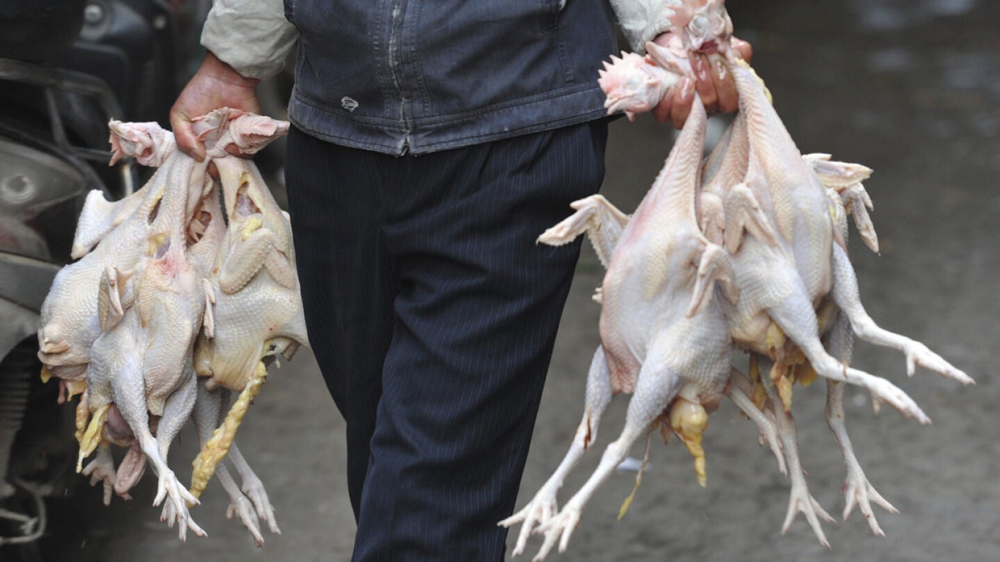 China confirma el primer afectado por el virus H7N9 en Pek&iacute;n
