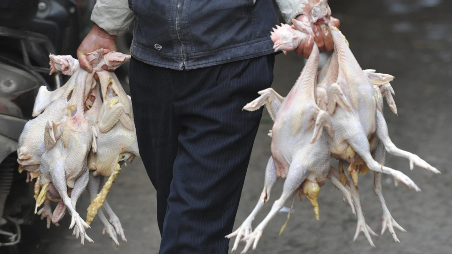 China confirma el primer afectado por el virus H7N9 en Pekín China confirma el primer afectado por el virus H7N9 en Pekín