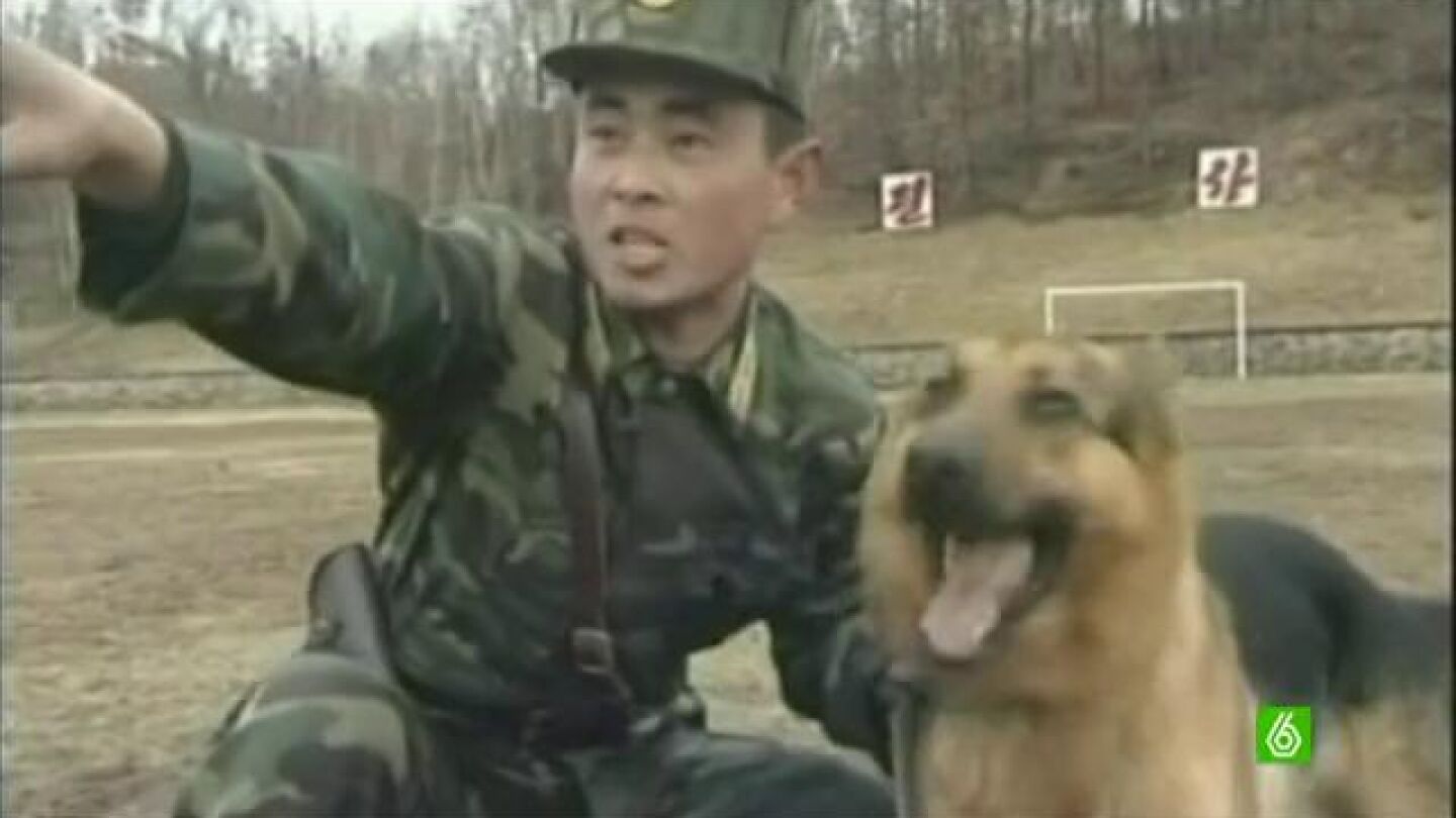 Corea del Norte entrena a sus perros para atacar a Corea del Sur