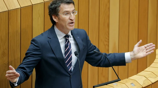 Alberto Núñez Feijóo, durante su intervención en el Parlamento gallego. Alberto Núñez Feijóo, durante su intervención en el Parlamento gallego.