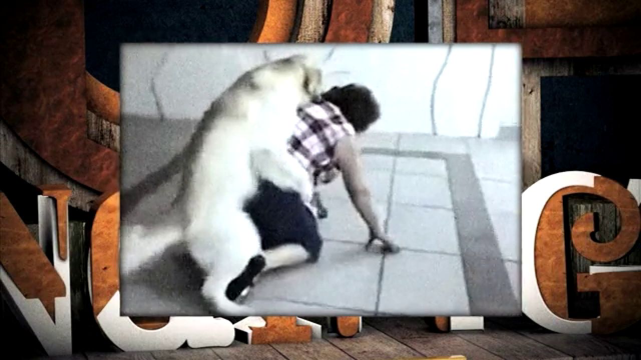 La pasión de un perro con su dueña->