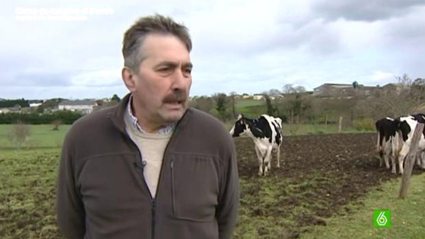La 'guerra del c&eacute;ntimo', origen del fraude de la carne de caballo