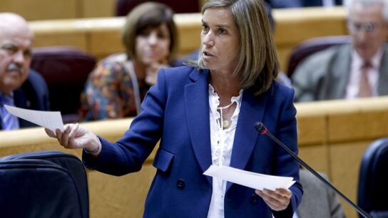 La ministra de Sanidad, Servicios Sociales e Igualdad, Ana Mato
