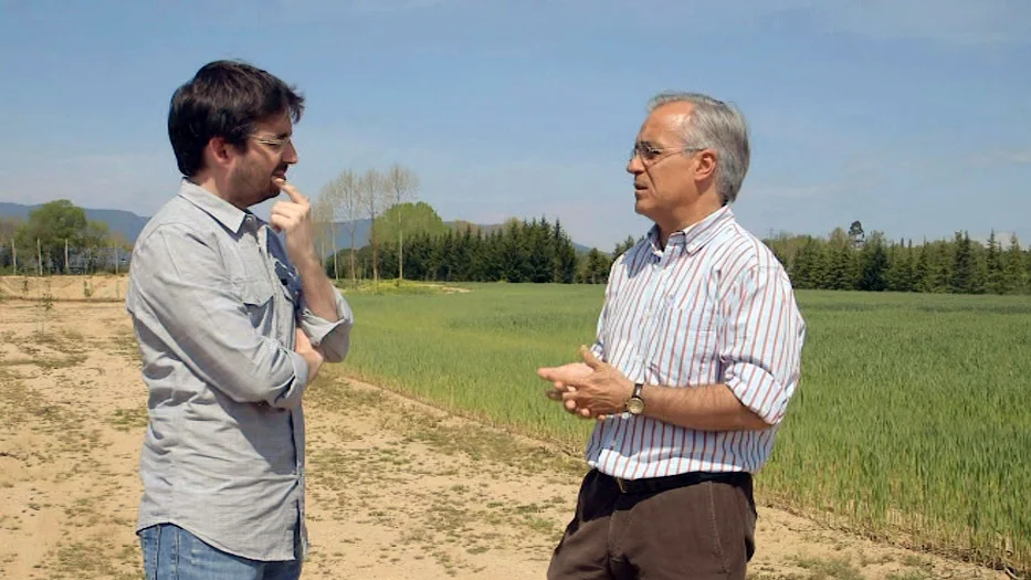 Miquel Porta, catedrático de Salud Pública de la UAB Miquel Porta, catedrático de Salud Pública de la UAB