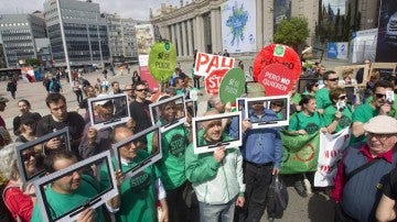 Varias decenas de personas han secundado la convocatoria de la PAH