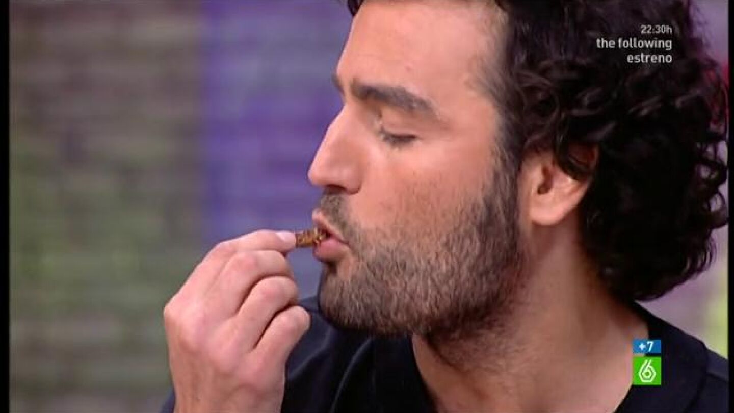 Ra&uacute;l come insectos