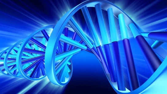 Secuencia ADN Secuencia ADN