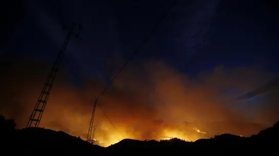 Incendio forestal Incendio forestal