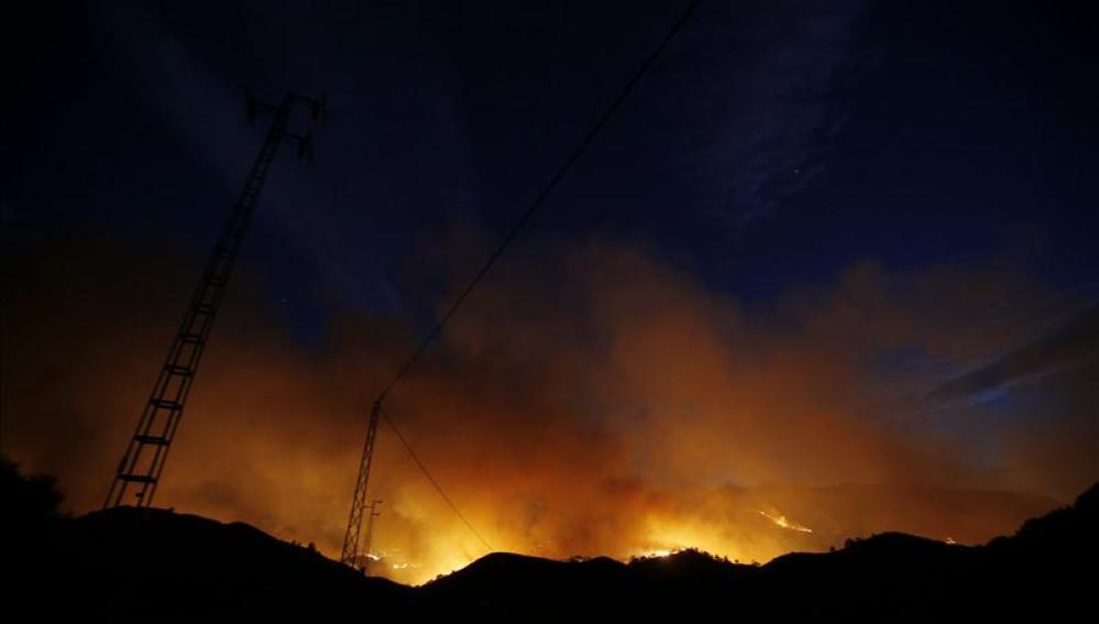 Incendio forestal