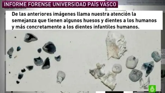 Informe de los huesos de Ruth y José Informe de los huesos de Ruth y José