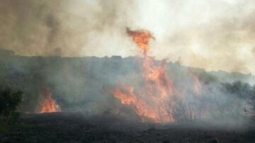 Un incendio de Almorox (Toledo) obliga a desalojar dos urbanizaciones por precaución