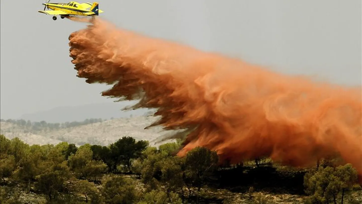 El incendio de Benaguacil ha quemado 78 hectáreas de tres municipios de Valencia El incendio de Benaguacil ha quemado 78 hectáreas de tres municipios de Valencia