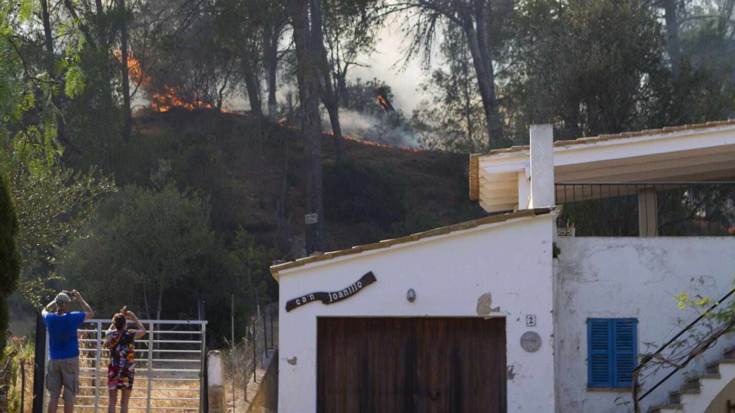 Una de las zonas afectadas por el incendio forestal de Andratx