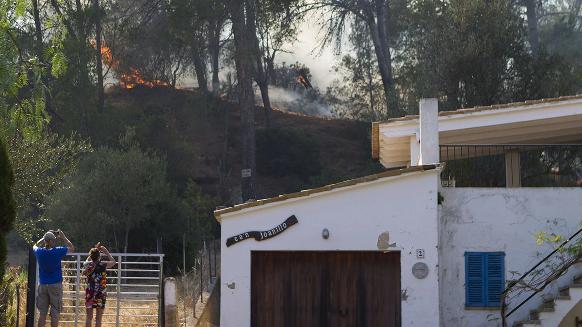 Una de las zonas afectadas por el incendio forestal de Andratx