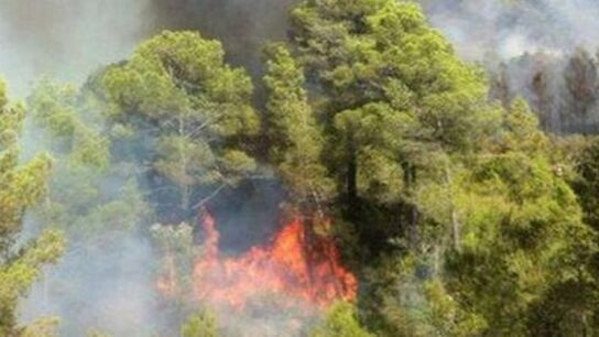 Incendio de Miravet en Tarragona.