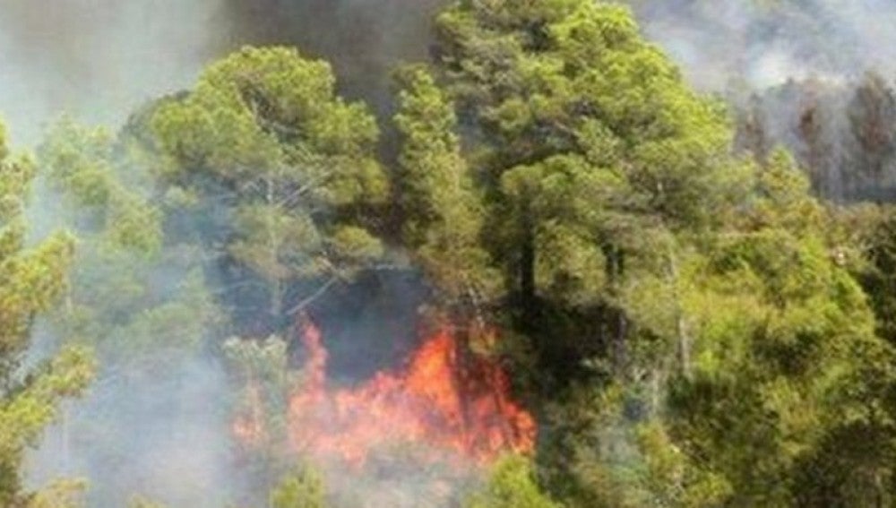 Incendio de Miravet en Tarragona.
