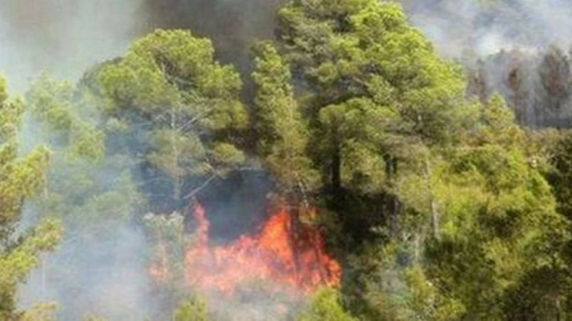 Incendio de Miravet en Tarragona. Incendio de Miravet en Tarragona.