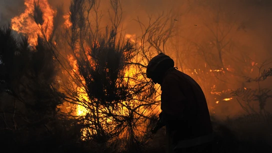 Un bombero combate el fuego, en un incendio forestal en Moimenta da Beira, Portugal. Un bombero combate el fuego, en un incendio forestal en Moimenta da Beira, Portugal.