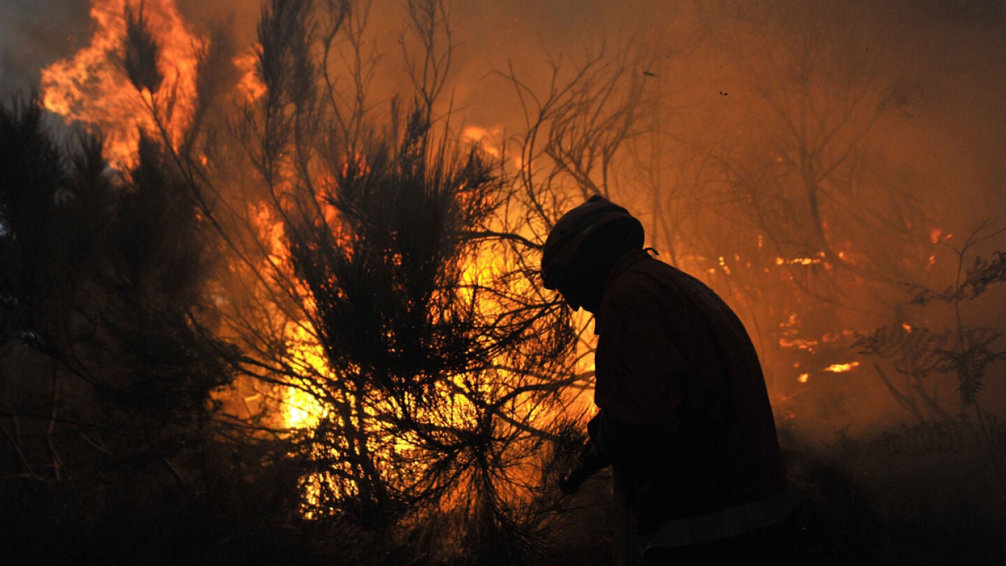 Un bombero combate el fuego, en un incendio forestal en Moimenta da Beira, Portugal. 