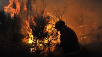 Un bombero combate el fuego, en un incendio forestal en Moimenta da Beira, Portugal. 