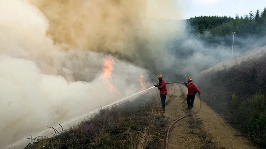 Desciende a nievl 0 el incendio que ha pasado de Portugal a Zamora Desciende a nievl 0 el incendio que ha pasado de Portugal a Zamora