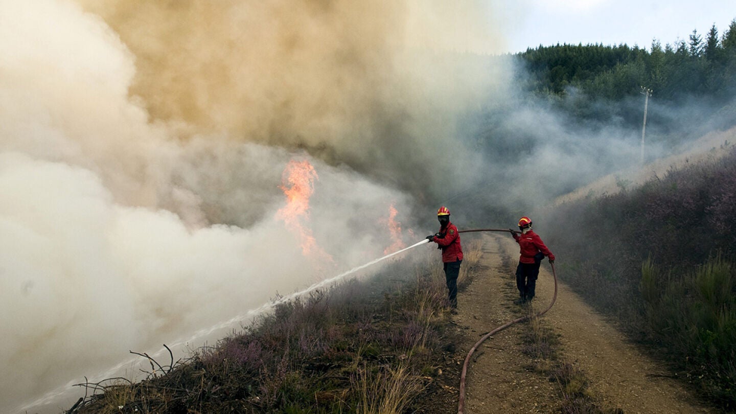 Desciende a nievl 0 el incendio que ha pasado de Portugal a Zamora