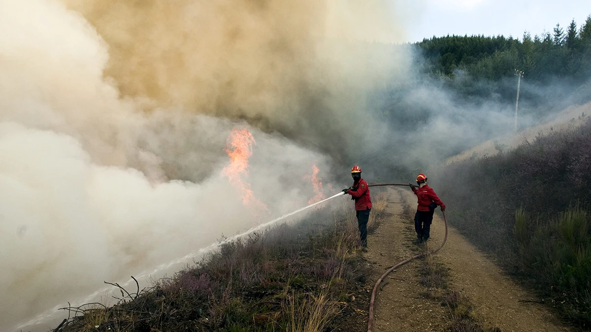 Desciende a nievl 0 el incendio que ha pasado de Portugal a Zamora Desciende a nievl 0 el incendio que ha pasado de Portugal a Zamora
