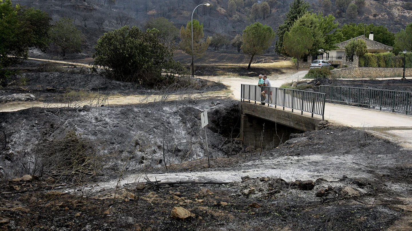 Estabilizado el incendio en Valdeconcha Estabilizado el incendio en Valdeconcha