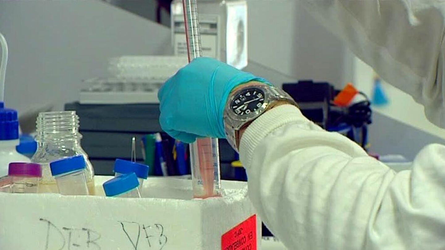 Descubren que una prote&iacute;na ayuda a frenar el avance del c&aacute;ncer