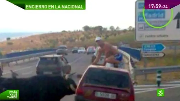 Canito embiste a un coche