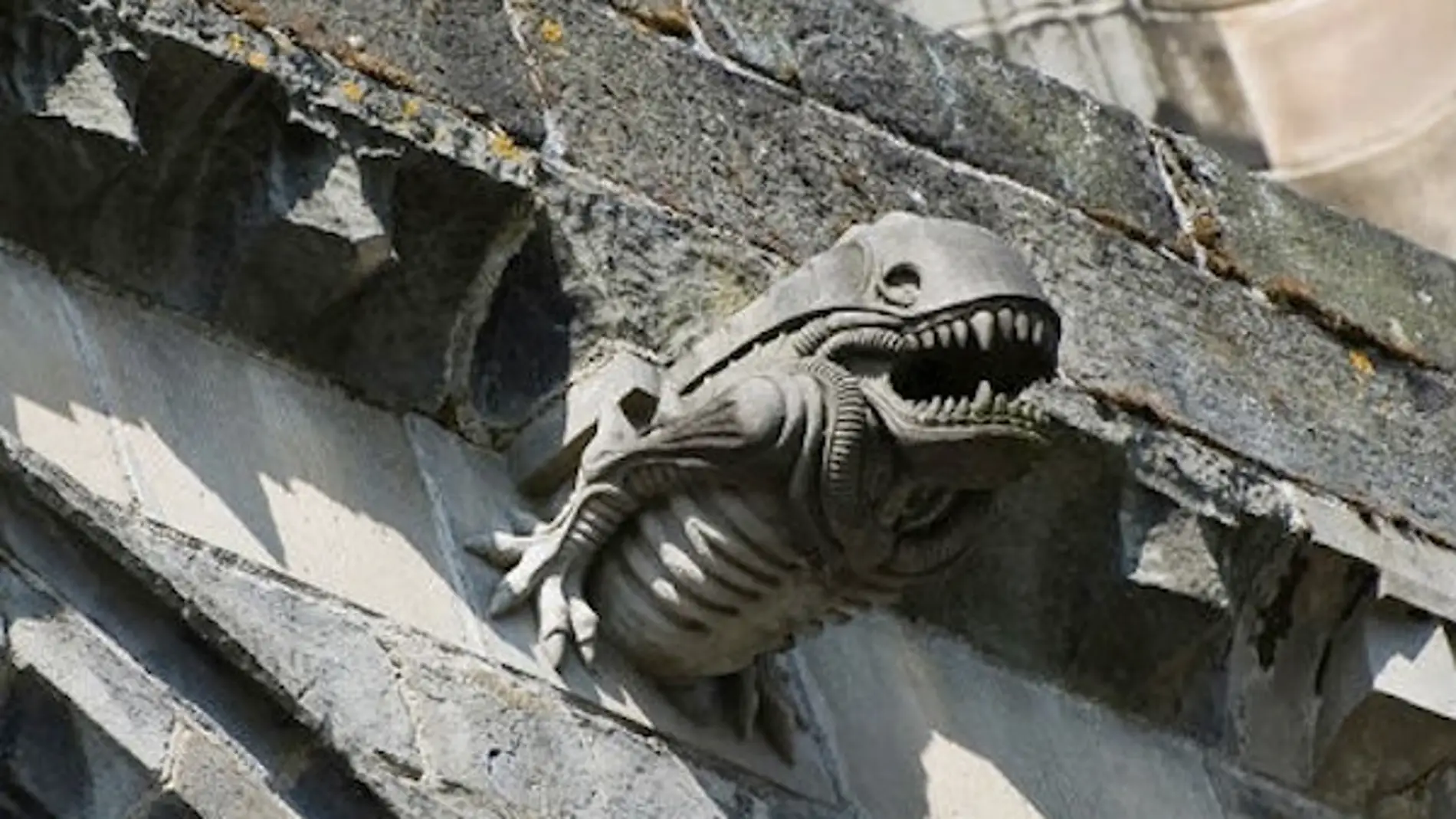 Las figuras más curiosas ocultas en catedrales e iglesias españolas Las figuras más curiosas ocultas en catedrales e iglesias españolas