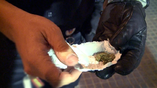 Encuentran marihuana Encuentran marihuana