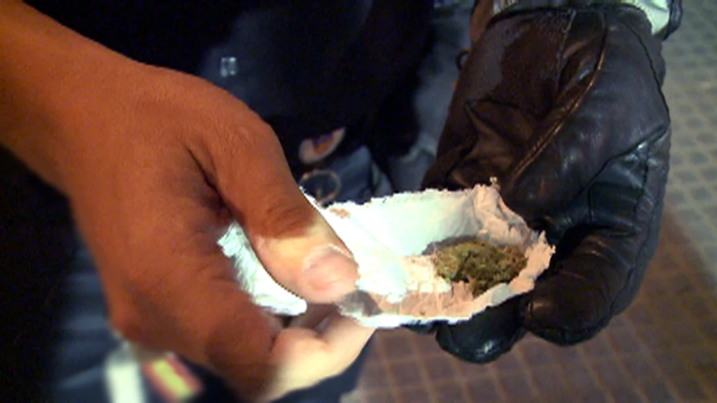 Encuentran marihuana Encuentran marihuana