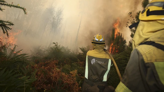 Controlados los incendios forestales de A Mezquita y Vilardevós, en Ourense Controlados los incendios forestales de A Mezquita y Vilardevós, en Ourense