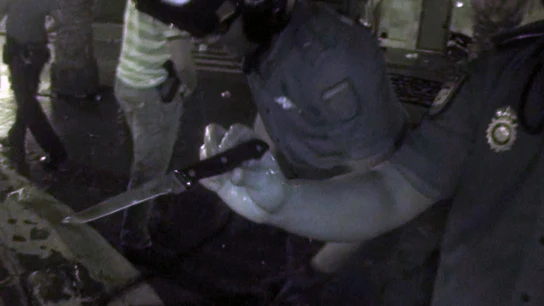 Exconvicto en apuros por un cuchillo Exconvicto en apuros por un cuchillo