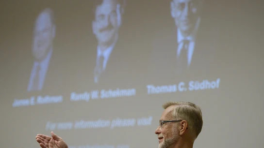 Premio Nobel de Medicina para Rothman, Schekman y Südhofse Premio Nobel de Medicina para Rothman, Schekman y Südhofse