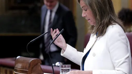 La ministra de Sanidad, Servicios Sociales e Igualdad, Ana Mato La ministra de Sanidad, Servicios Sociales e Igualdad, Ana Mato